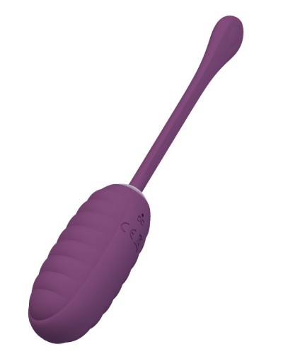 Oeuf Vibrant Sans Fil Connecté Casper 8 x 3.5cm Violet sextoys et accessoires sur La Boutique du Hard