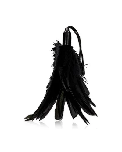 Plumeau Feather Tickler 20cm Noir sextoys et accessoires sur La Boutique du Hard