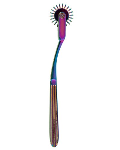 Roue à picots Single Pinwheel 18.5cm sextoys et accessoires sur La Boutique du Hard