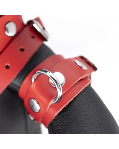 Ours en cuir EDDY The BDSM Teddy Bear Rouge + Boite sextoys et accessoires sur La Boutique du Hard